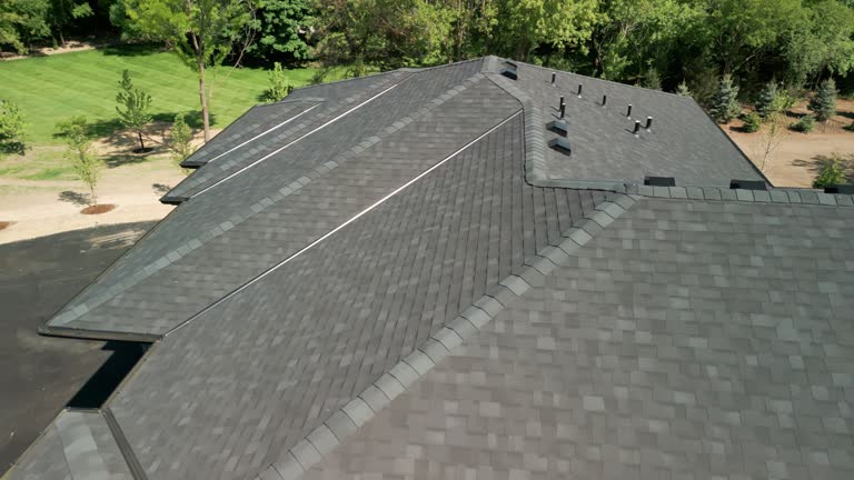 Best Roof Maintenance and Cleaning  in Palisades Park, NJ